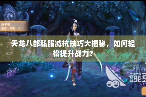 天龙八部私服减抗技巧大揭秘，如何轻松提升战力？