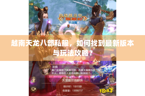 越南天龙八部私服，如何找到最新版本与玩法攻略？