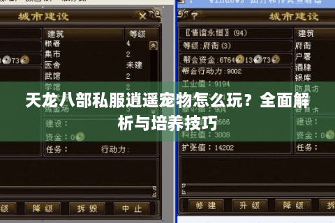 天龙八部私服逍遥宠物怎么玩？全面解析与培养技巧