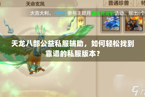 天龙八部公益私服辅助，如何轻松找到靠谱的私服版本？
