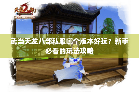 武当天龙八部私服哪个版本好玩？新手必看的玩法攻略