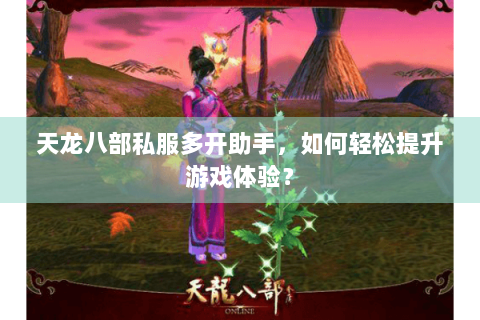 天龙八部私服多开助手，如何轻松提升游戏体验？