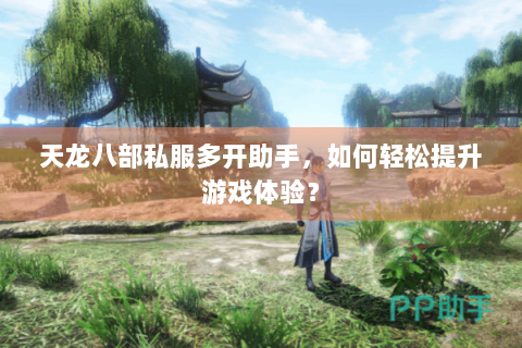 天龙八部私服多开助手，如何轻松提升游戏体验？