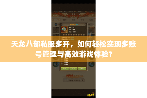 天龙八部私服多开，如何轻松实现多账号管理与高效游戏体验？